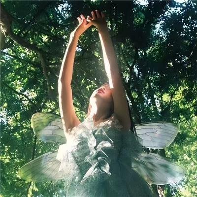 一个和八个